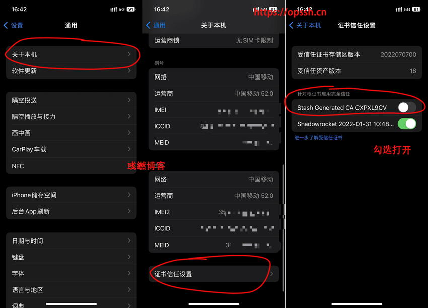 信任“Stash Generated CA”自签证书